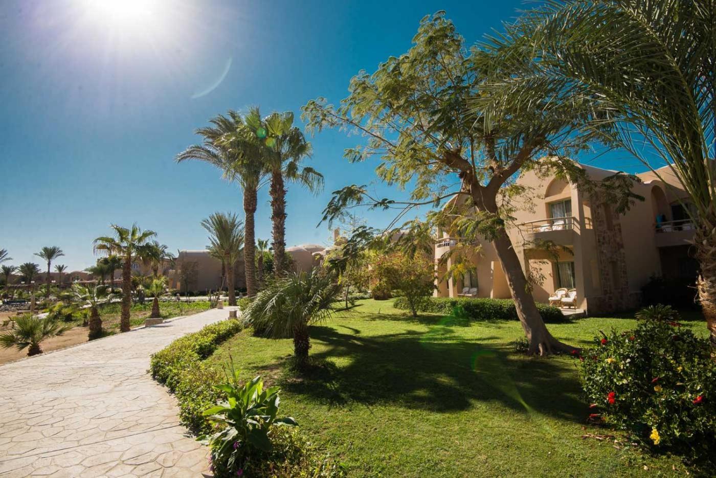 Shams Alam Beach Resort Abū Ghuşūn Kültér fotó