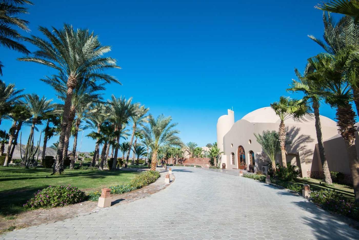 Shams Alam Beach Resort Abū Ghuşūn Kültér fotó